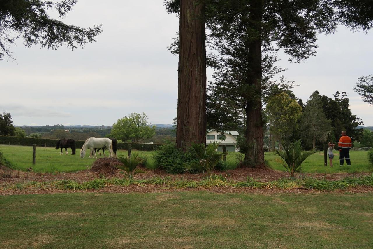 Cosy Nights - Modern, Self-Contained With Parking Apartment Kerikeri Luaran gambar